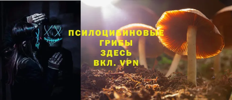 МЕГА зеркало  Уварово  Псилоцибиновые грибы Psilocybe 